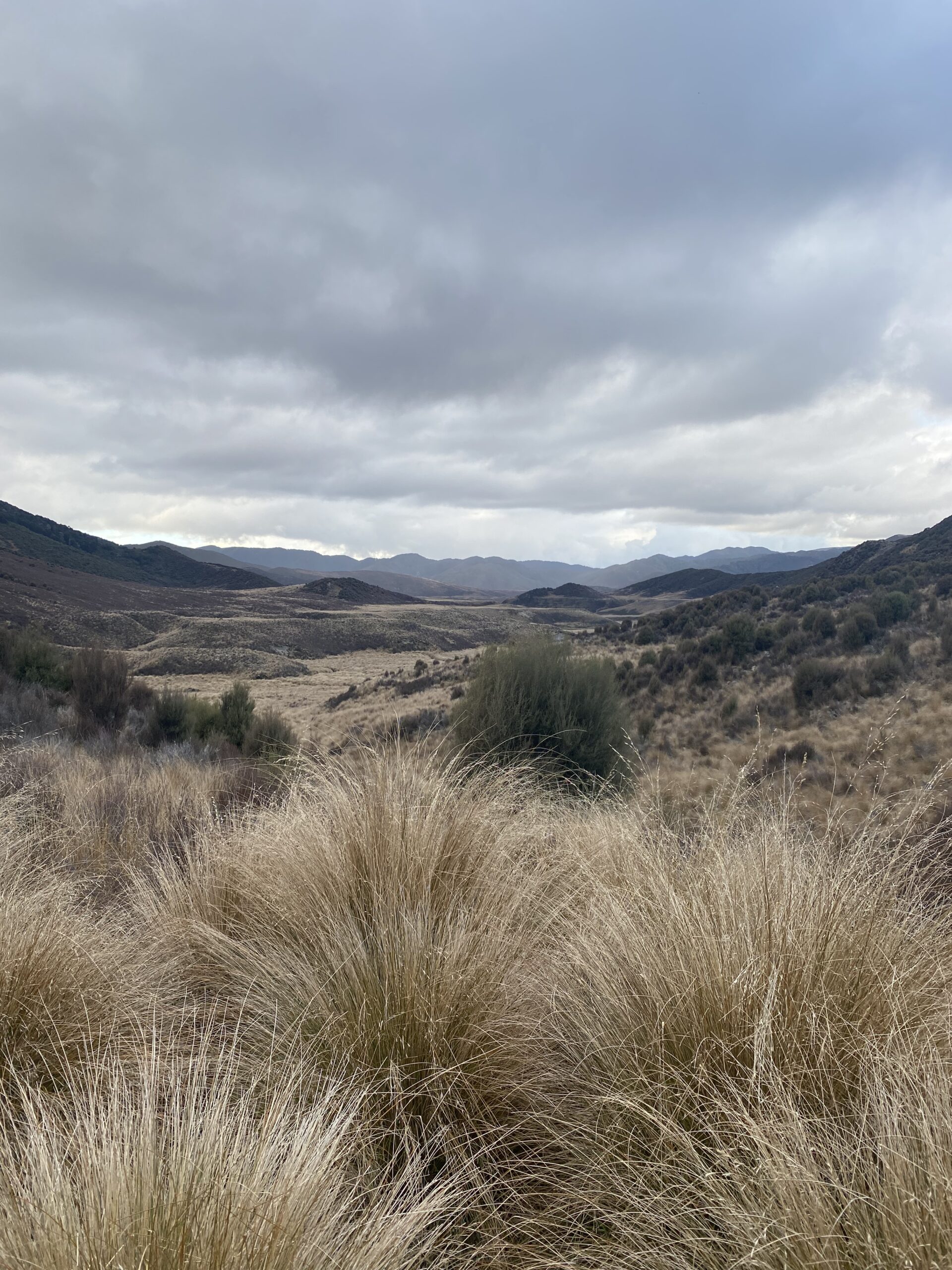 Mangataramea Hut – Helisika